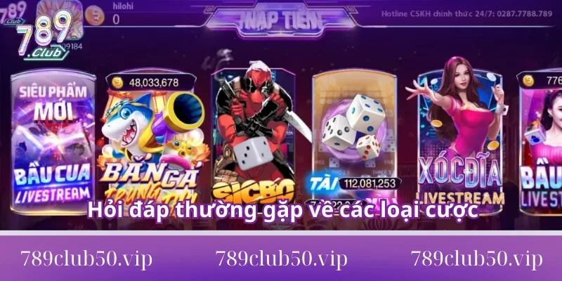 hỏi đáp thường gặp 789club Hỏi đáp thường gặp về các loại cược tại cổng game