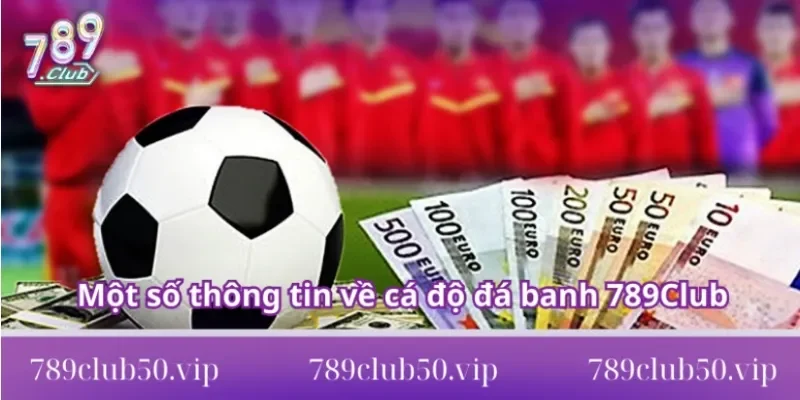 thông tin về cá độ đá banh 789Club Một số thông tin về cá độ đá banh 789Club