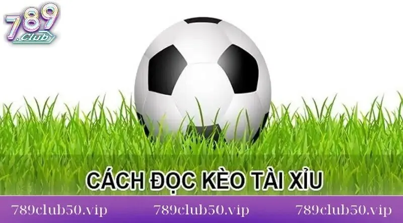 cach doc va dat cuoc keo tai xiu tai 789club Cách đọc và đặt cược kèo tài xỉu tại 789club