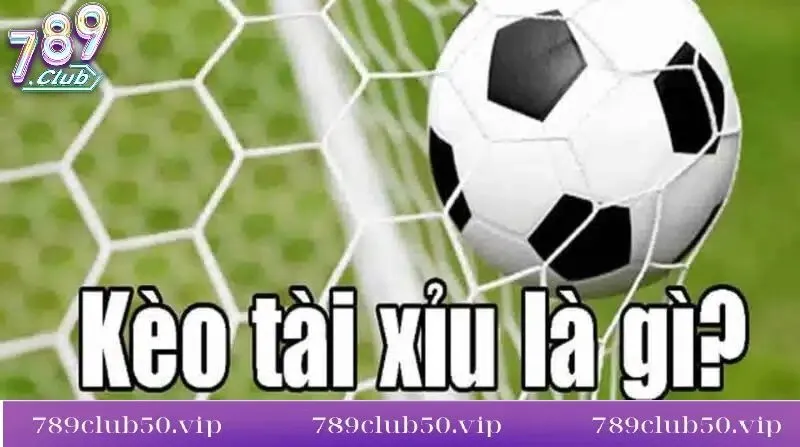 khai quat ve keo tai xiu tai 789club Khái quát về kèo tài xỉu tại 789Club